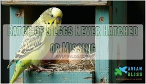 batch of 5 eggs never hatched or missing