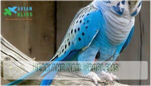 beak and nail problems