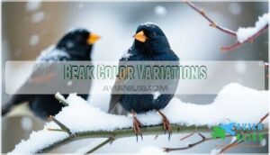 beak color variations