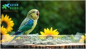 benefits of sunflower seeds
