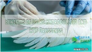 benefits of using hydrocolloid and mvp dressings
