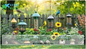 best bird feeding practices