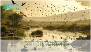 best time for birding