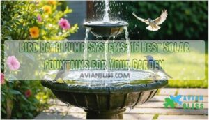 bird bath pump systems