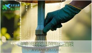 bird feeder maintenance