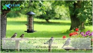 bird feeder types