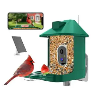 Bird Feeder with Camera,2K Live B0DX74WN4K