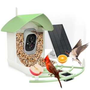Bird Feeder with Camera,Smart AI B0CJTXHKYZ