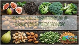 bird food for strong bones