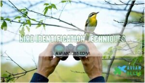 bird identification techniques