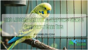 bird labored breathing symptoms