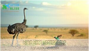 bird size categories bird size categories