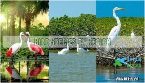 bird species by region