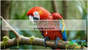 bird symptoms bird symptoms