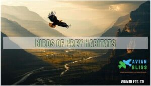 birds of prey habitats