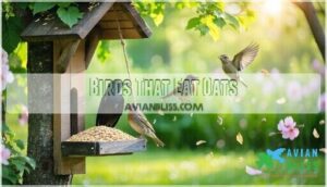 birds that eat oats