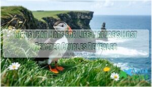 birds that mate for life