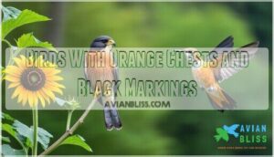 birds with orange chests and black markings