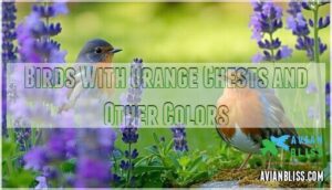 birds with orange chests and other colors