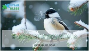 black-capped chickadee calls