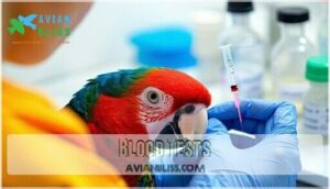 blood tests blood tests