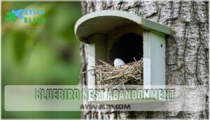 bluebird nest abandonment