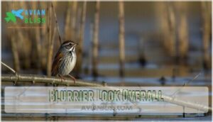 blurrier look overall