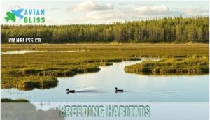 breeding habitats