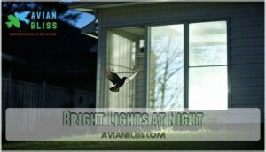 bright lights at night