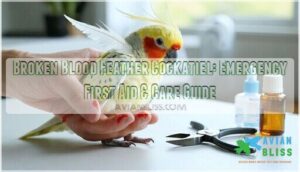 broken blood feather cockatiel