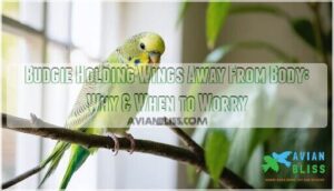 budgie holding wings away from body