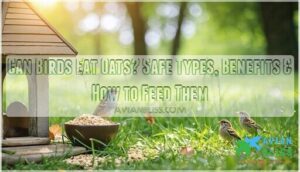 can birds eat oats