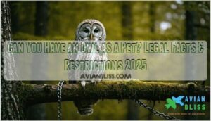can you have an owl as a pet