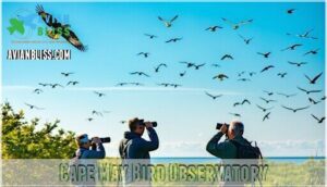 cape may bird observatory