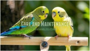 care and maintenance