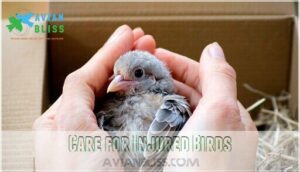 care for injured birds