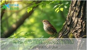 carolina wren conservation