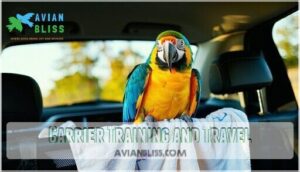 carrier training and travel