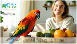 case study: sun conure mango