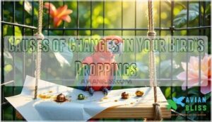 causes of changes in your bird’s droppings causes of changes in your bird’s droppings