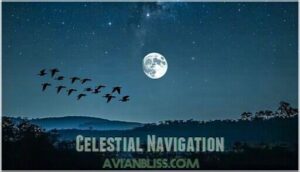 celestial navigation