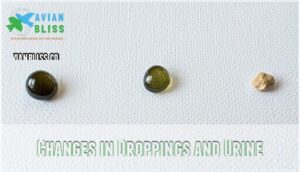 changes in droppings and urine