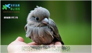 checking for injuries