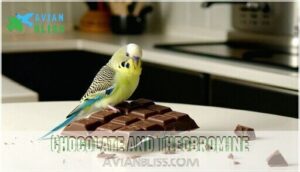 chocolate and theobromine