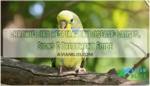 chronic bird respiratory disease chronic bird respiratory disease