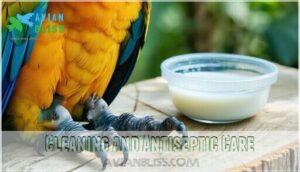 cleaning and antiseptic care