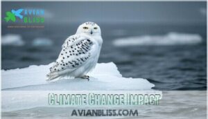 climate change impact