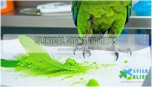 clinical signs in birds