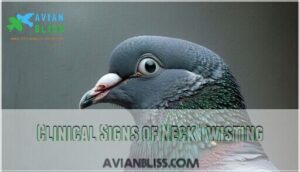 clinical signs of neck twisting