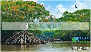 coastal forests